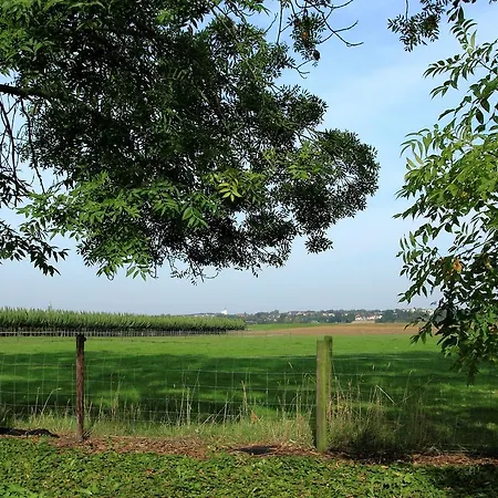 בית נופש Holiday Vakantiehuisjes De Betuwe 5 Kesteren